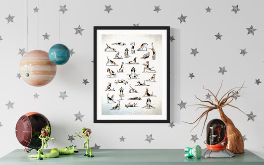 Hound Yoga... the Full Story