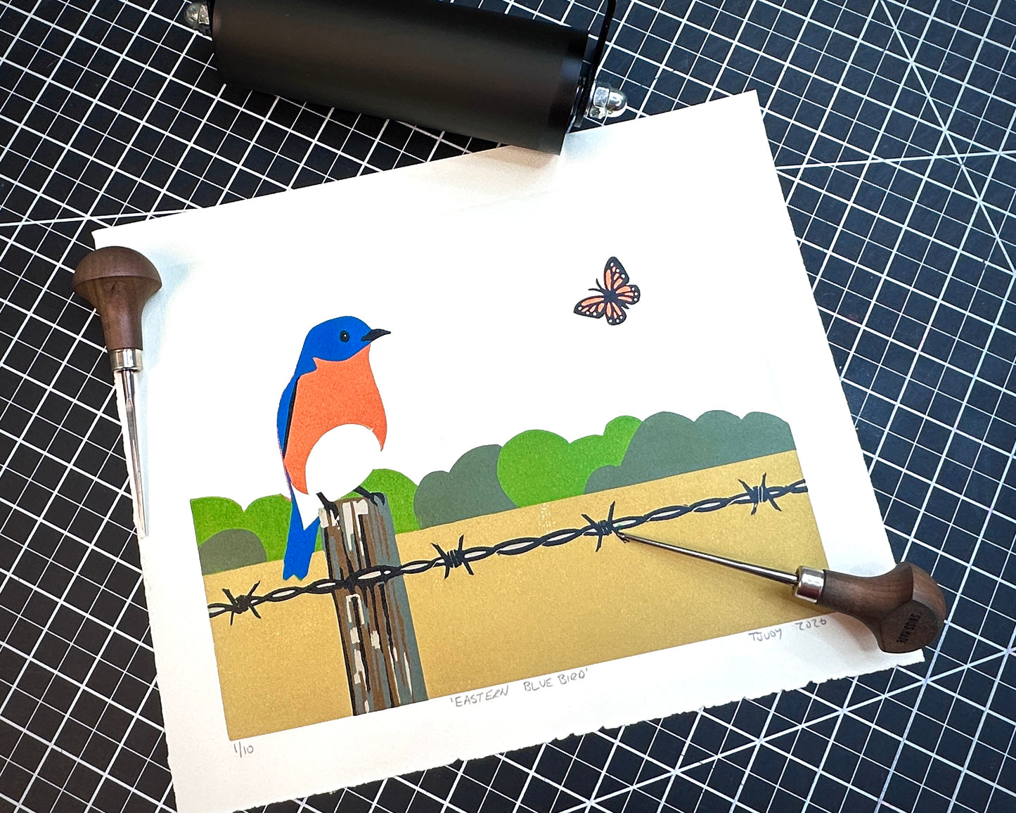 Eastern Bluebird