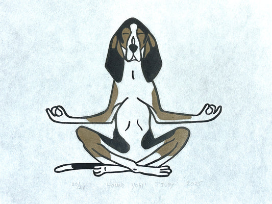 Hound Yogi