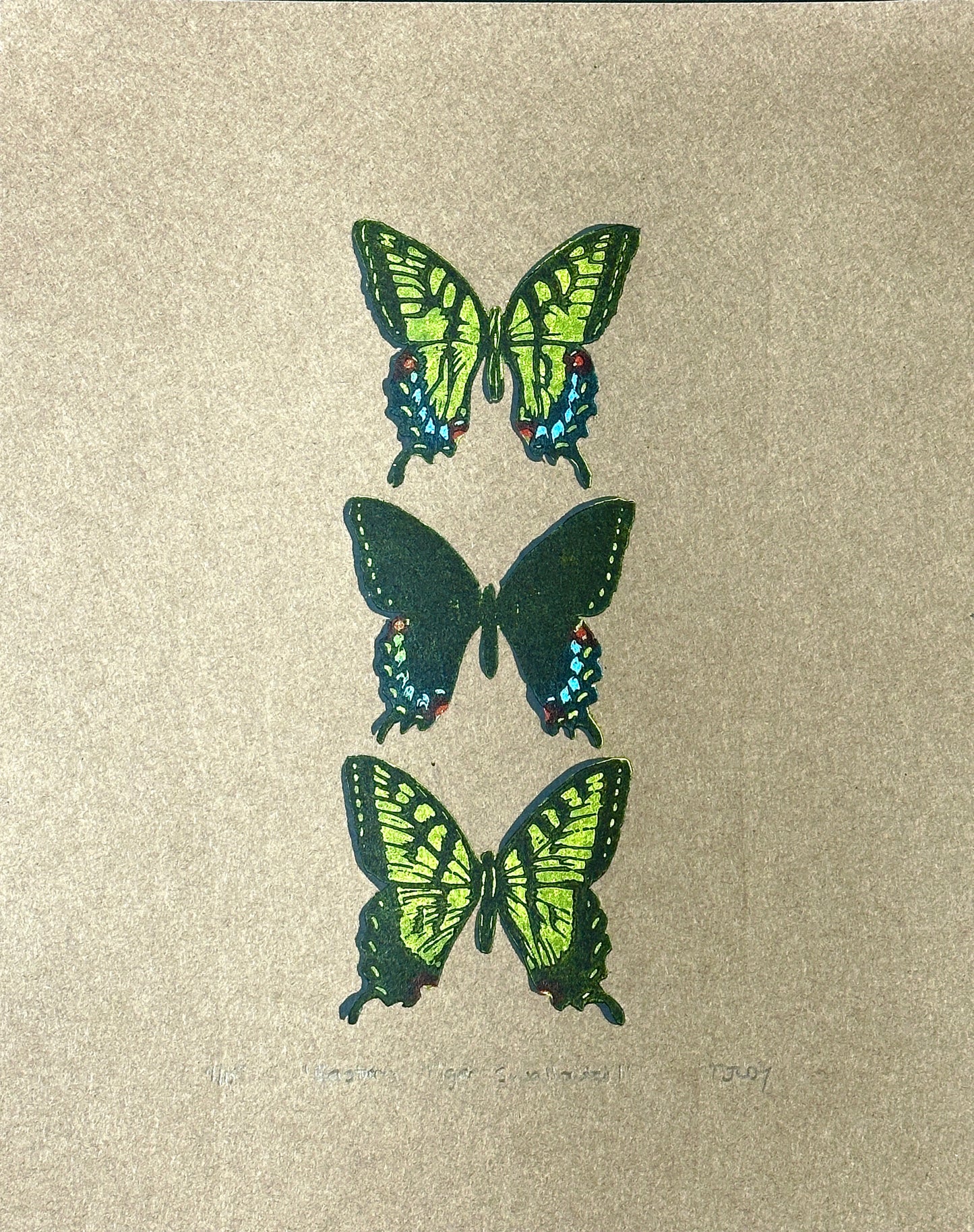 Eastern Tiger Swallowtail