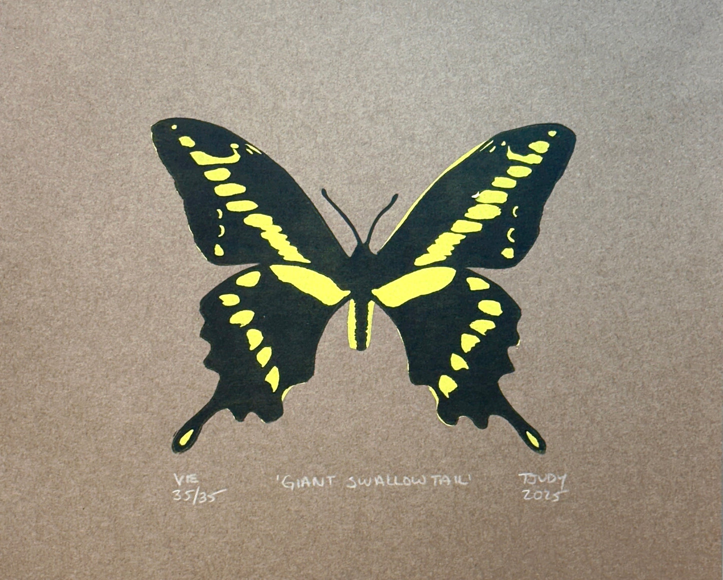 Giant Swallowtail