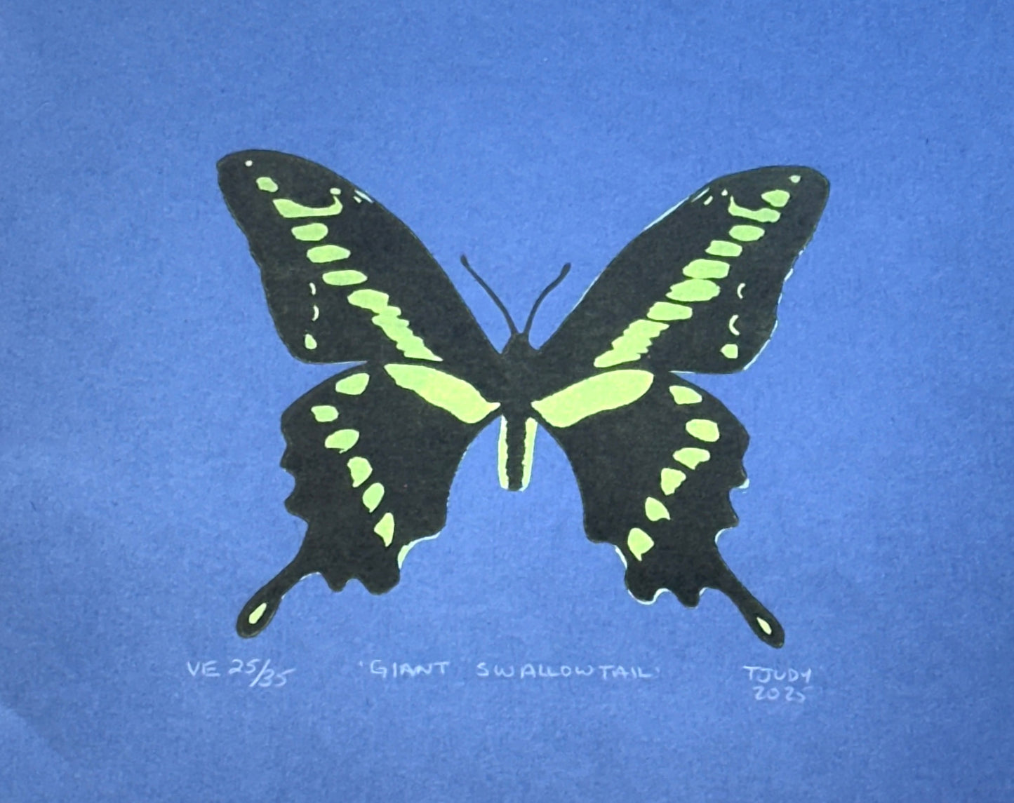 Giant Swallowtail