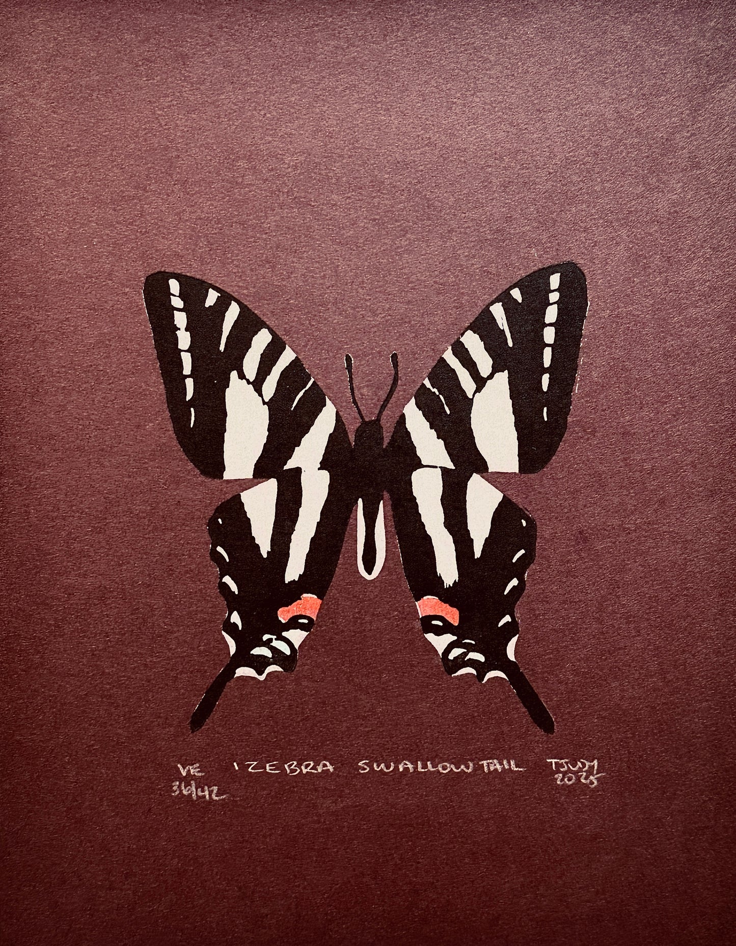 Zebra Swallowtail
