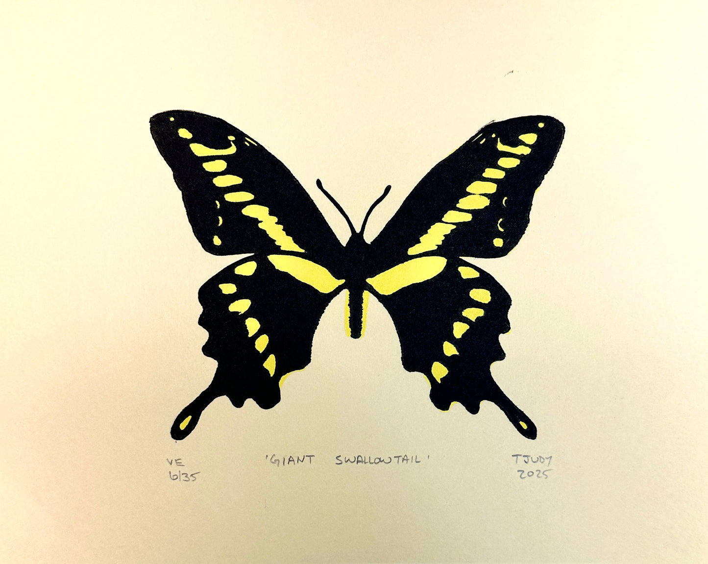 Giant Swallowtail
