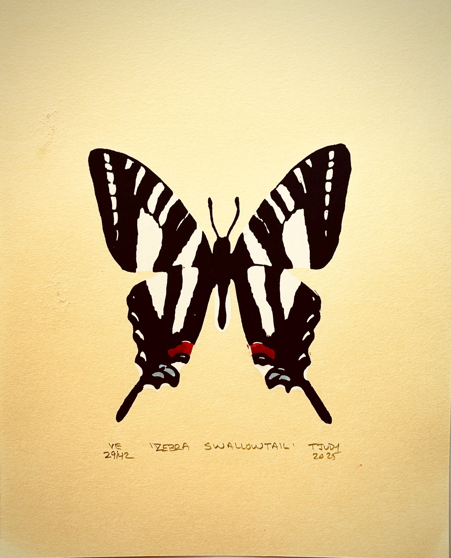 Zebra Swallowtail