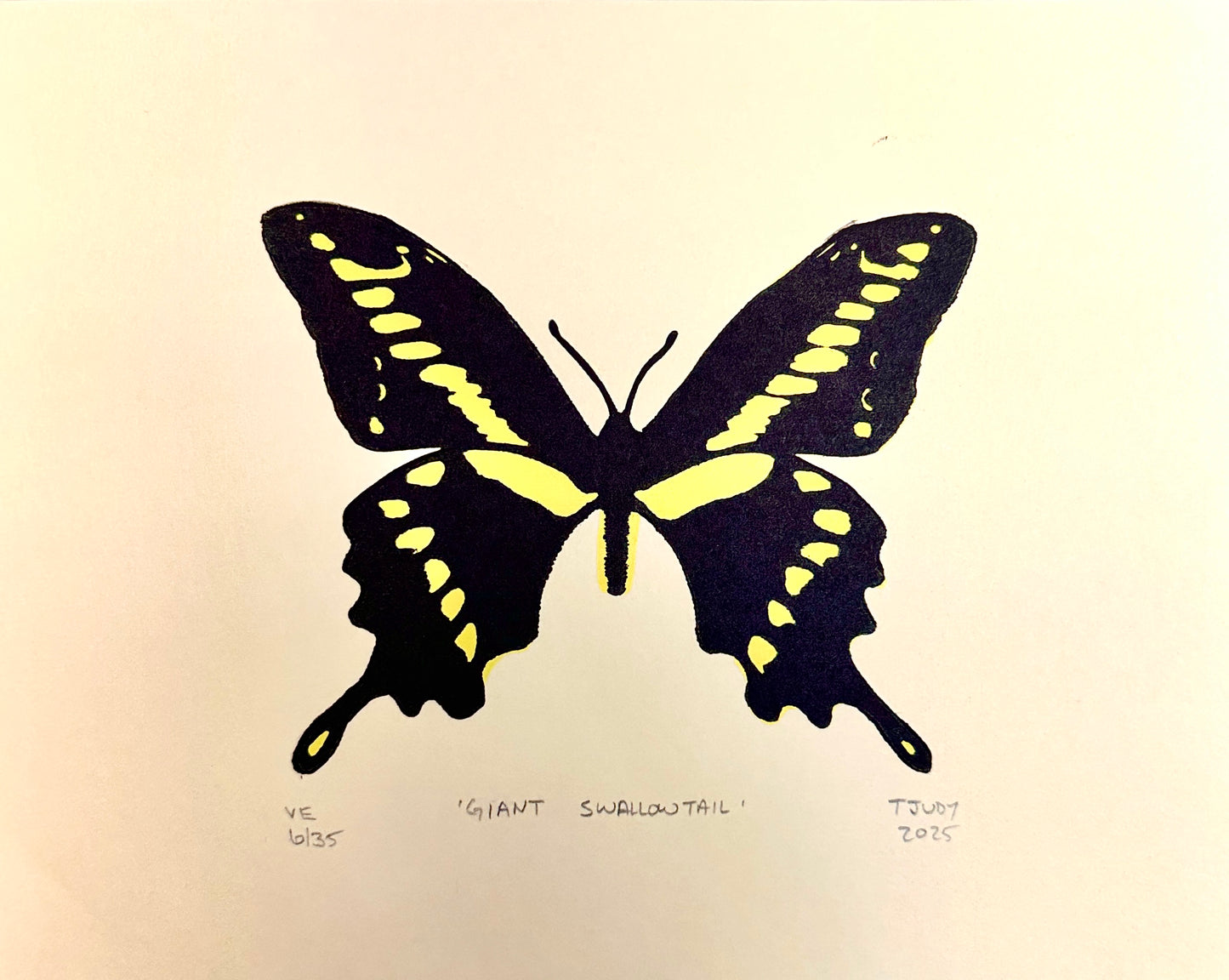 Giant Swallowtail