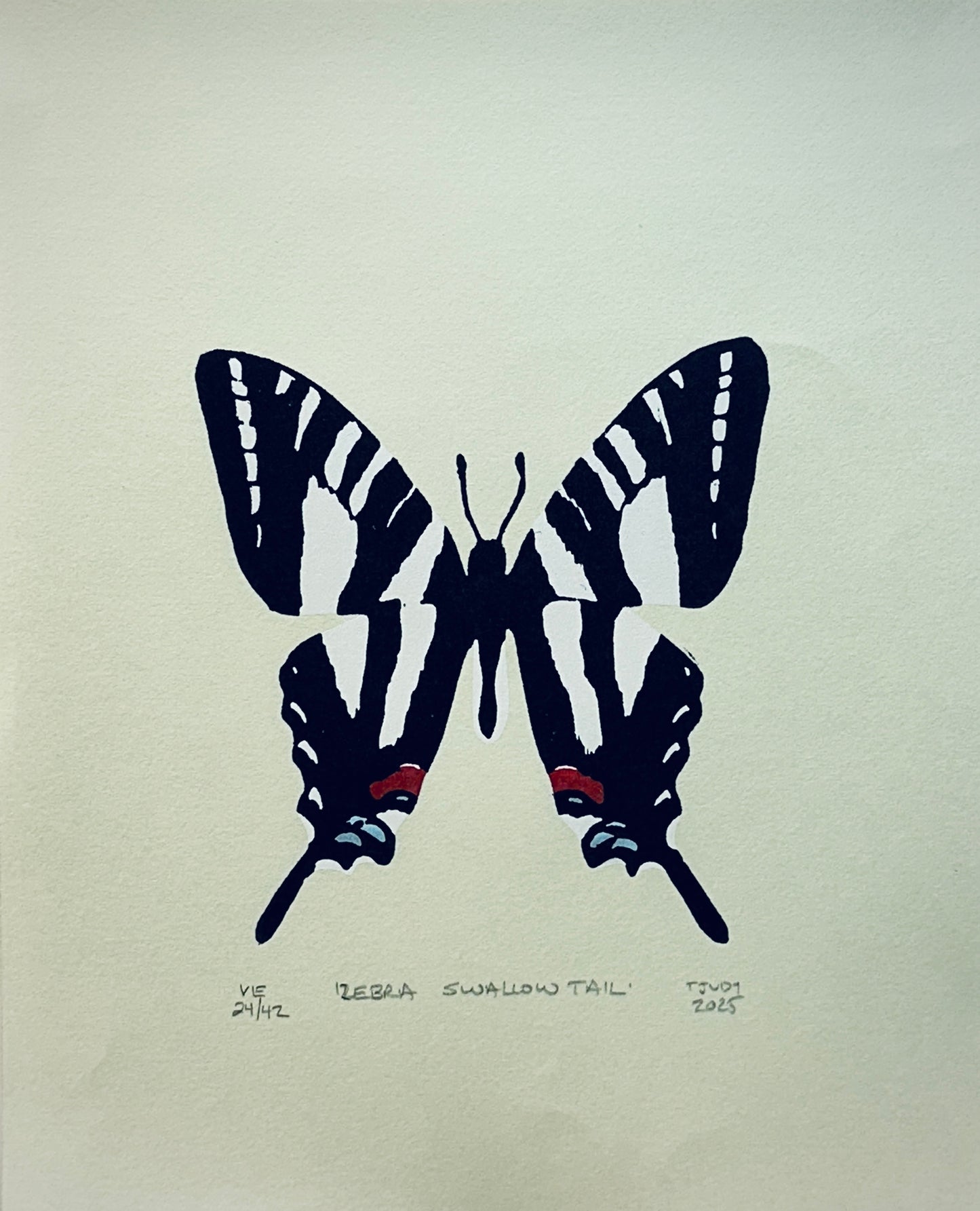 Zebra Swallowtail