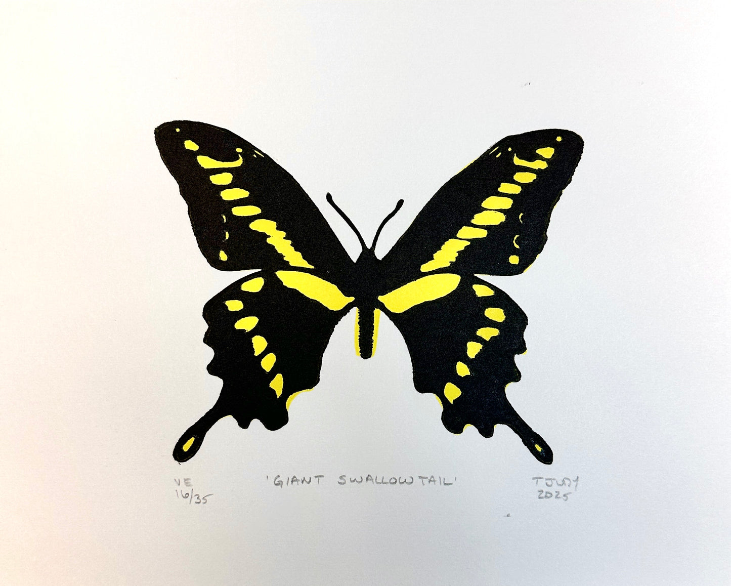 Giant Swallowtail