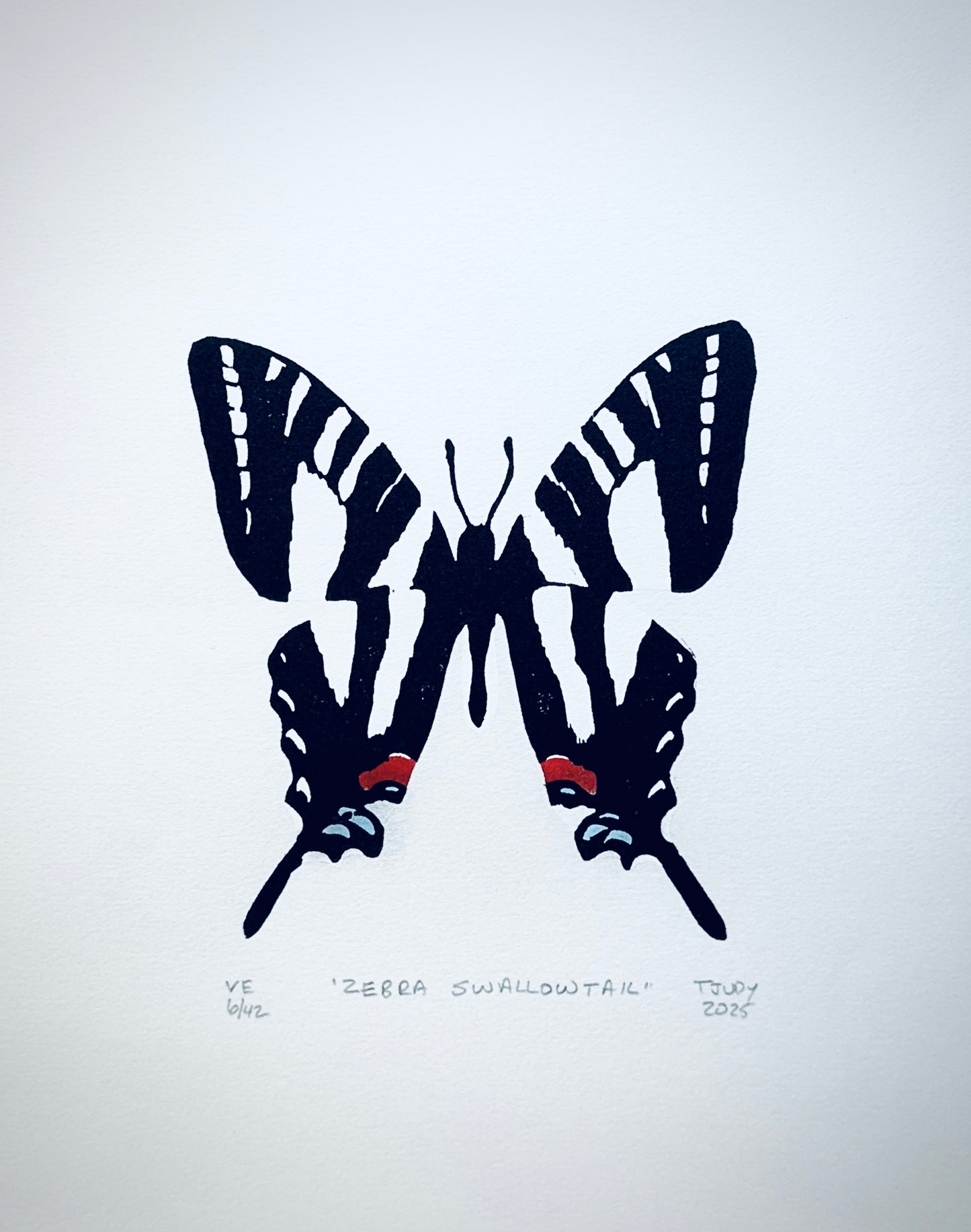 Zebra Swallowtail