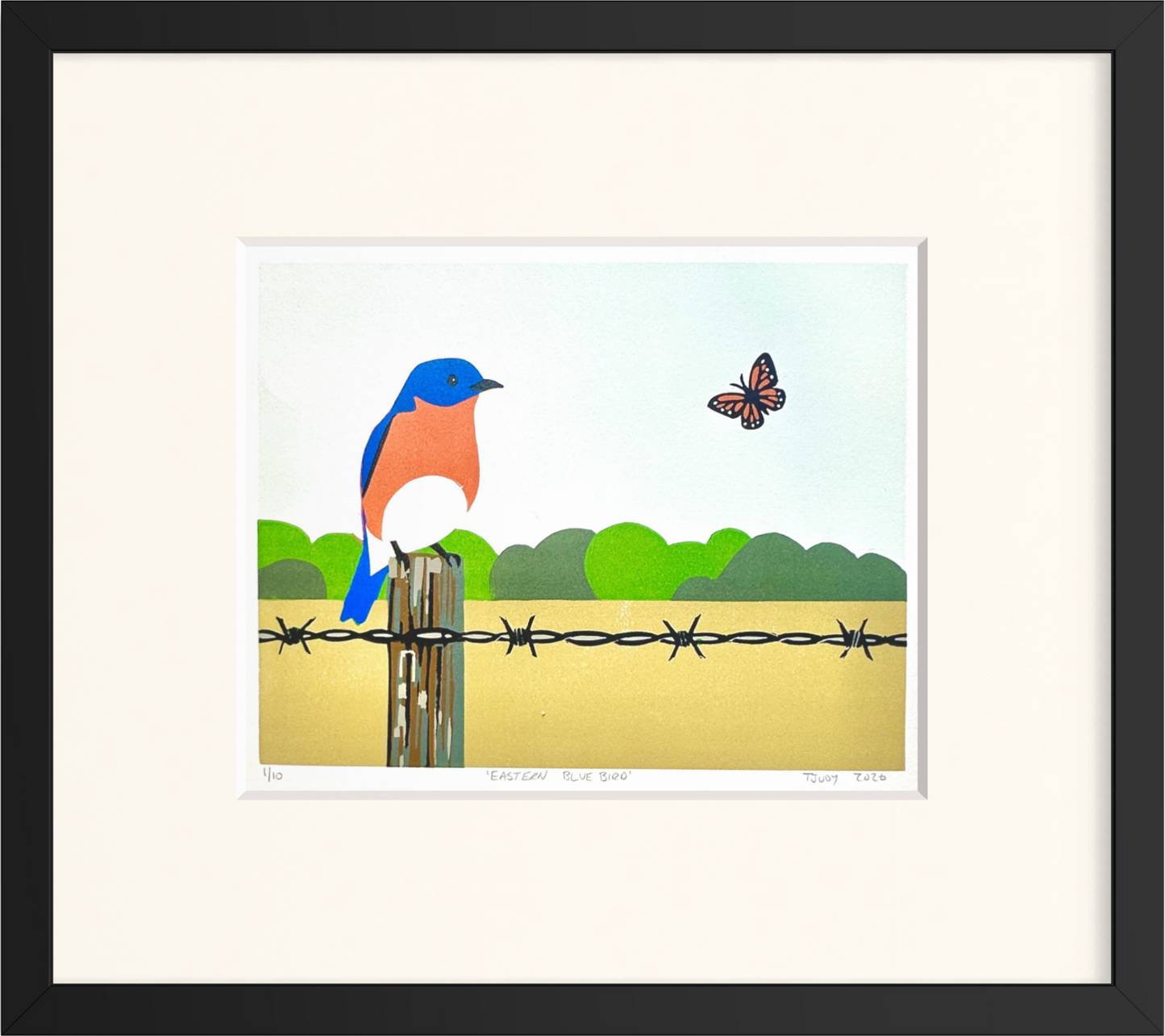 Eastern Bluebird