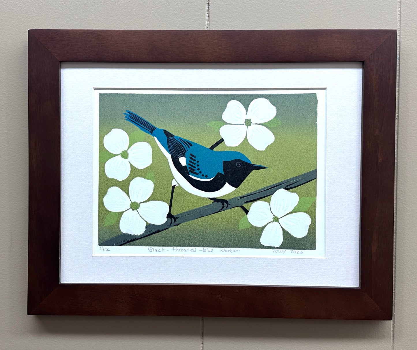 Black-throated-blue Warbler