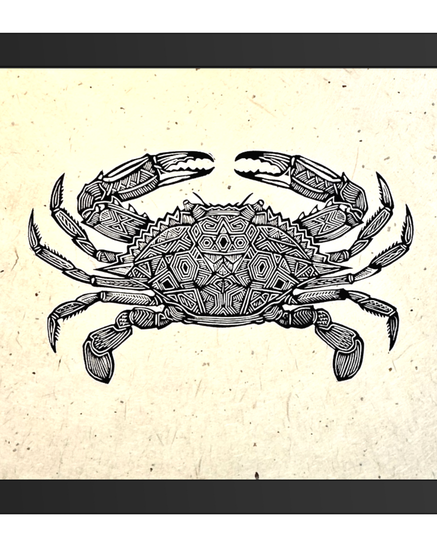 Blue Crab