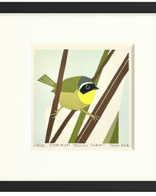 Common Yellowthroat