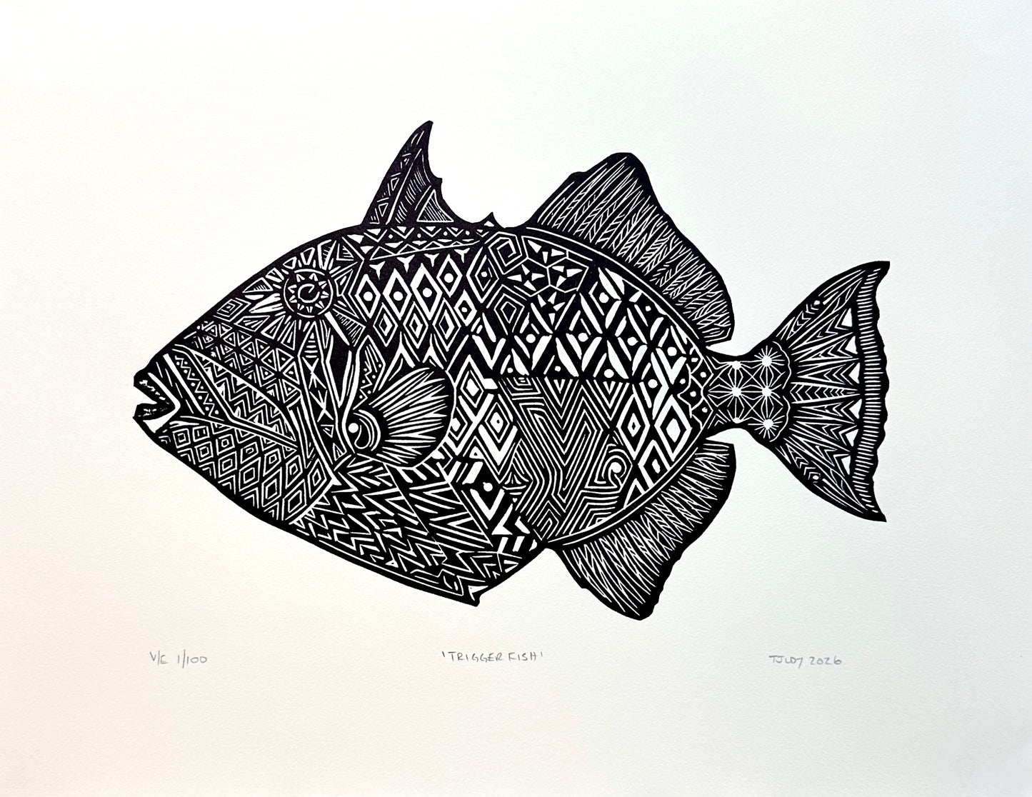 Triggerfish