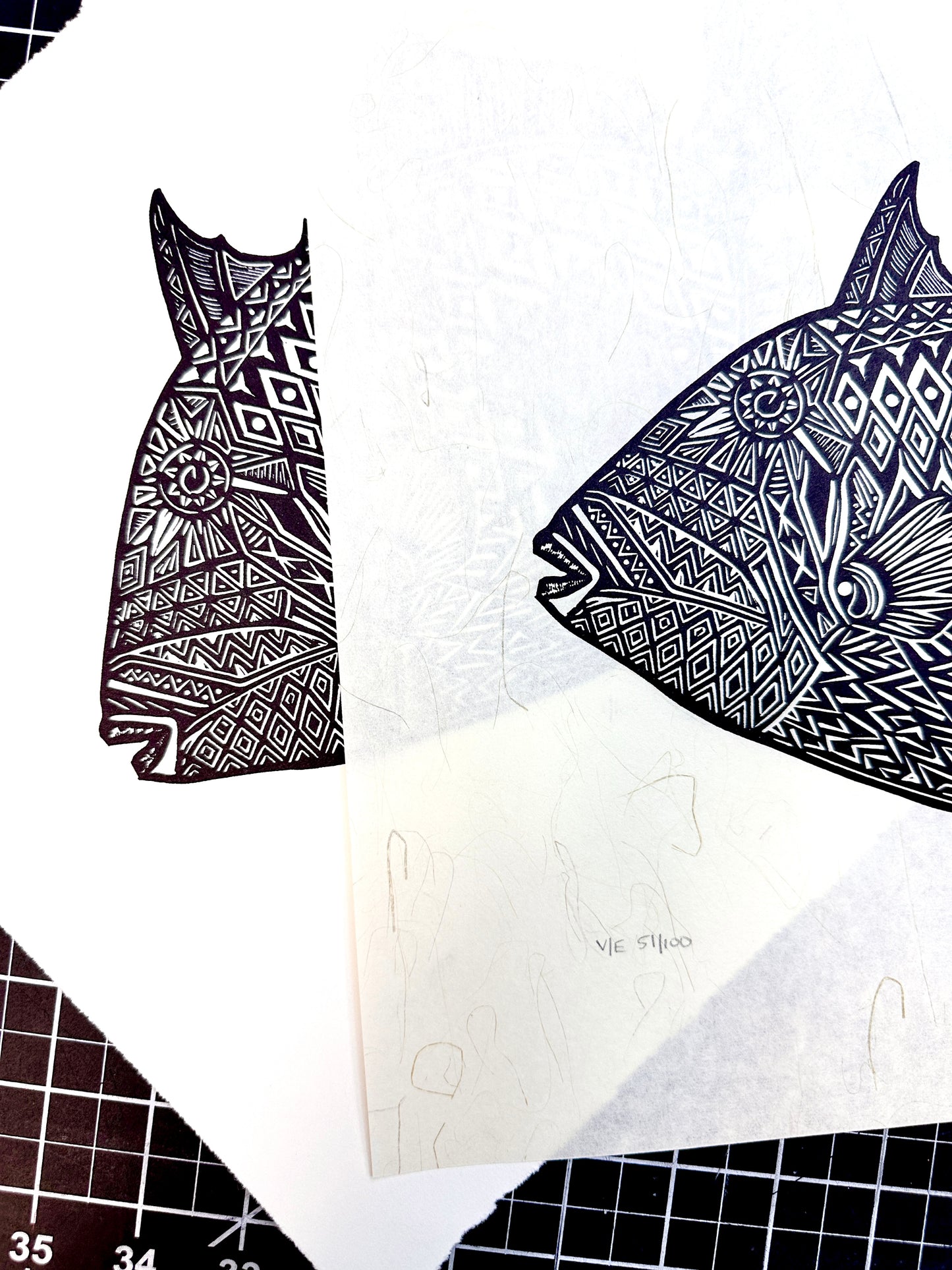 Triggerfish