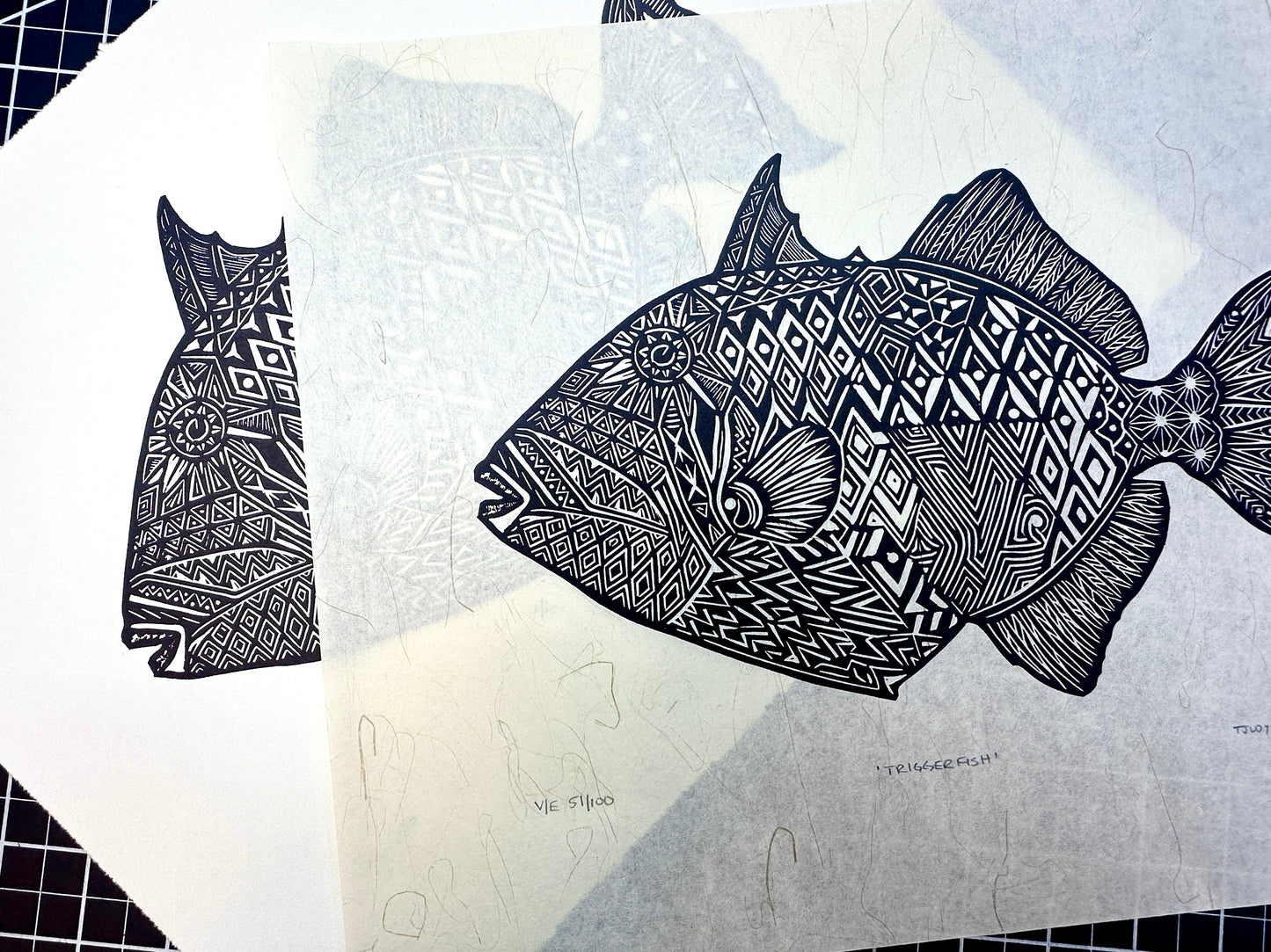 Triggerfish