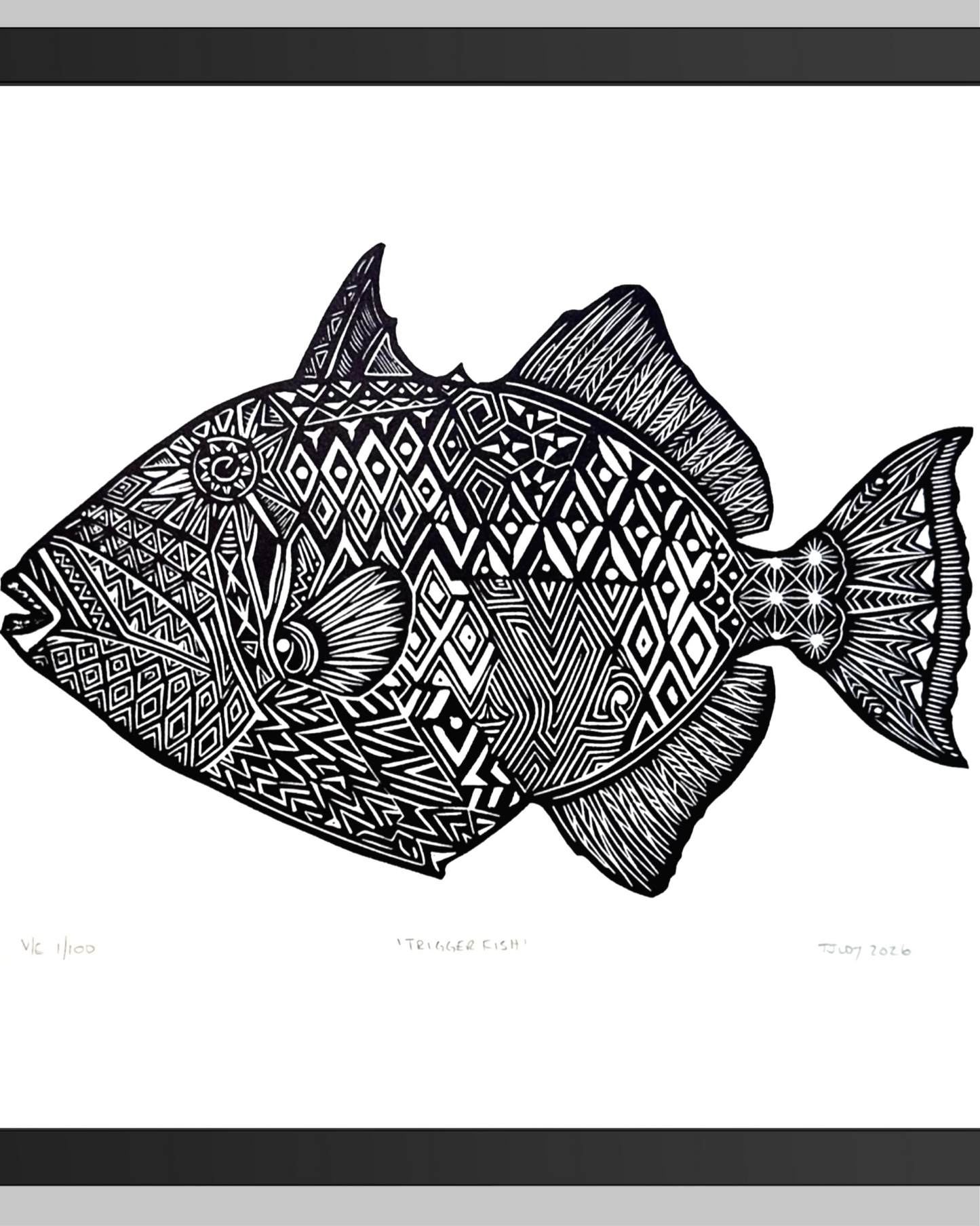 Triggerfish