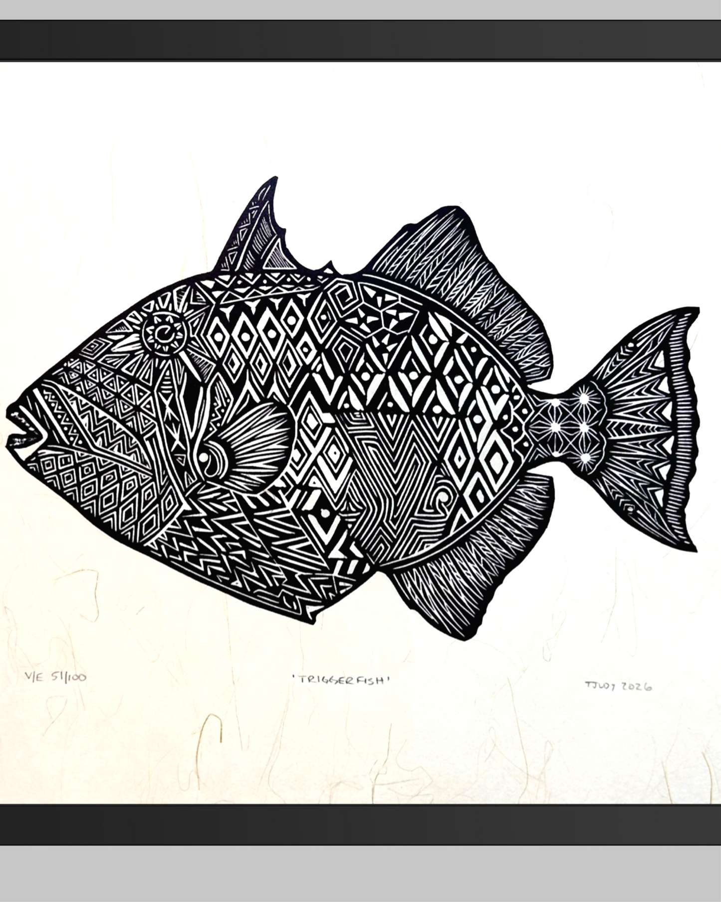 Triggerfish