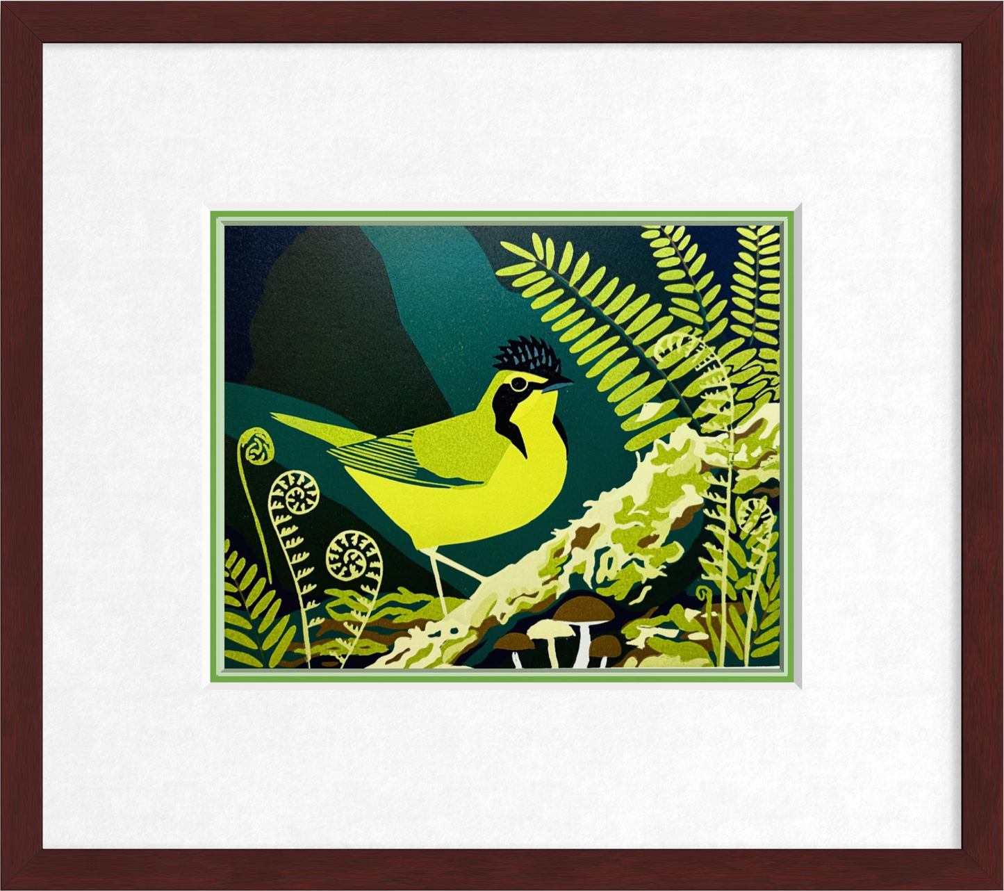 Kentucky Warbler