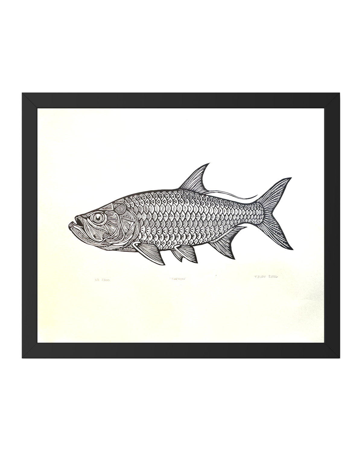 Tarpon
