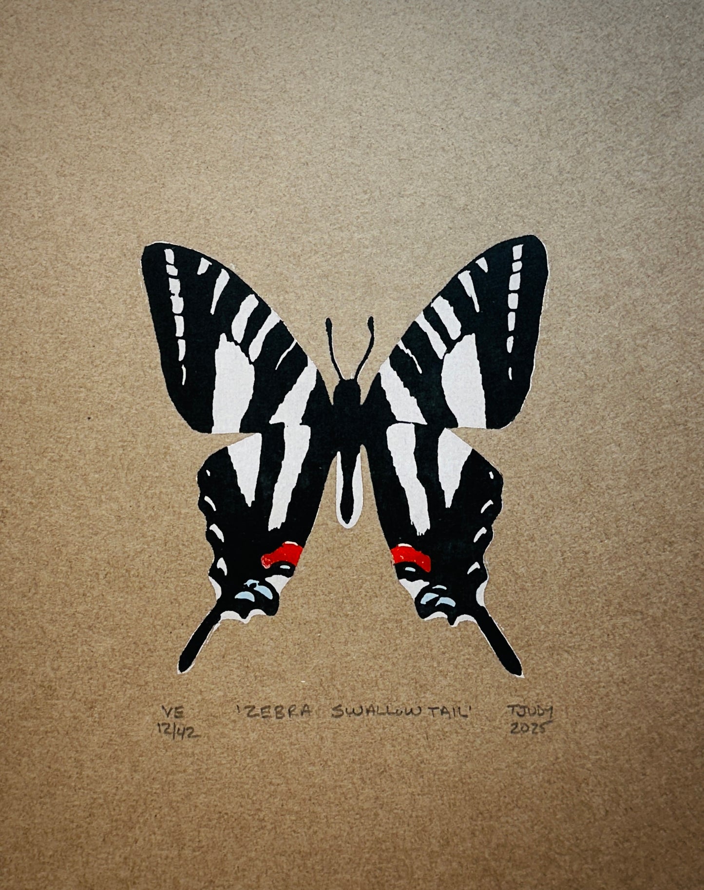 Zebra Swallowtail
