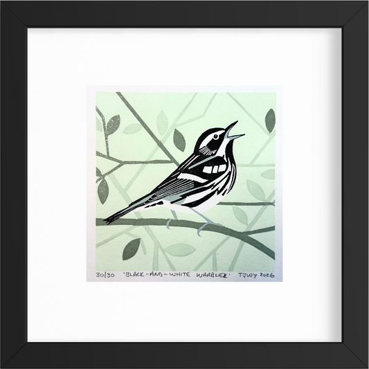 Black-and-White Warbler