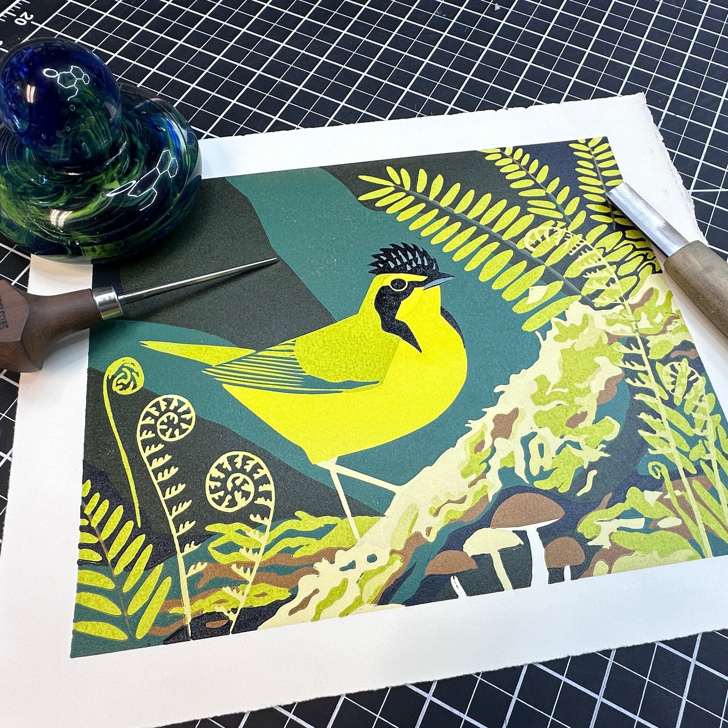 Kentucky Warbler